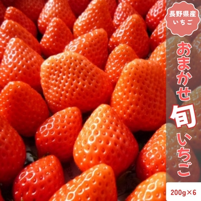 
                  ＜2026年12月以降順次発送＞長野県産 いちご おまかせ 6パック＜約1.2kg＞【1705366】
                
