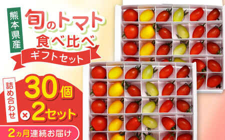 【全2回定期便】トマト ミディトマト 計60個 トマト トマト トマト トマト トマト [YDE015]