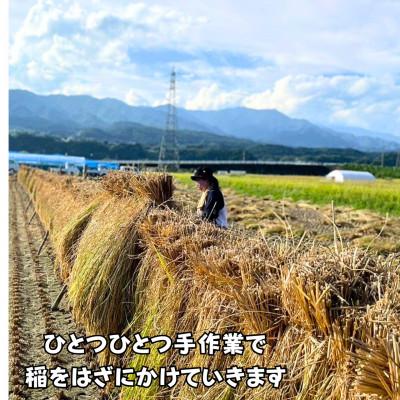 ふるさと納税 豊丘村 【天日干しのコシヒカリ】【令和7年産】 長野県豊丘村産コシヒカリ　精米　5kg |  | 02