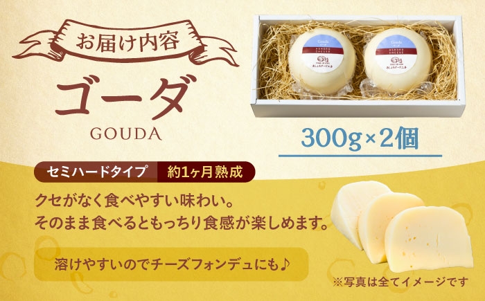 北海道産 十勝 チーズ セミハード チーズ ゴーダ 乳製品 生乳 加工品 