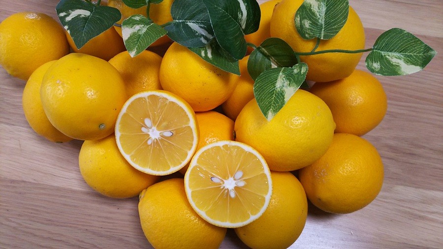 
            68-43　進栄　農薬を使わず栽培!! レモン約2kg
          