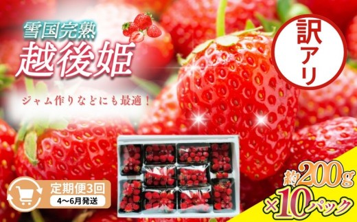 
                  先行予約  定期便 3回【4～6月発送】訳あり越後姫 約200g×10定期配送 越後姫 えちごひめ 苺 いちご 訳あり 新潟 苺の花ことば
                
