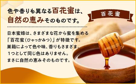 日本蜜蜂のハチミツ100％！はちみつ（2本）  高級 自然食品 無添加 ニホンミツバチ