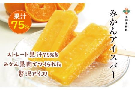 【早和果樹園】みかんアイスバー（氷菓）30本入(B495-3)