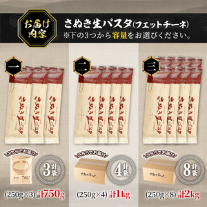 さぬき生パスタ (フェットチーネ) (1kg) 小麦 麺 小分け 常温 コシ もちもち 香川県 【man190】【こんぴらや販売】