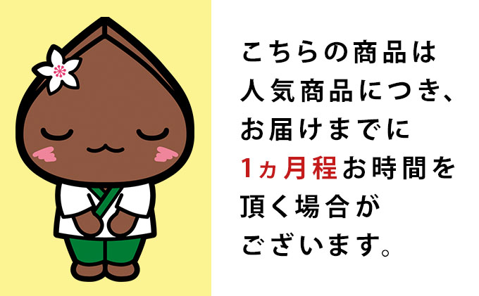 凍結『生』二八そば 少し多めの200g×6人前・そばの実アイス130ml×3個セット 北海道幌加内【霧立亭】