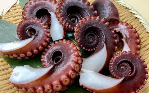 【花光】タコ好きさん必見！淡路の島ダコ釜揚げ（切り落とし2～3人前）【旨さそのまま♪期間限定フレッシュ冷蔵便】