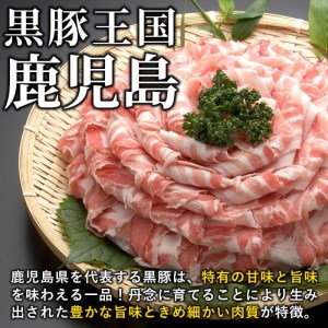 a2-001 鹿児島県産黒豚ロース・バラしゃぶセット 計760g