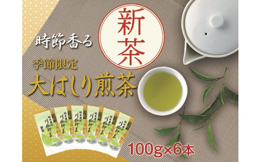 
33-12 新茶 静岡川根茶大走り新茶100g×6本
