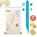 【ふるさと納税】特別栽培米　市川さんのこしひかり 令和6年産【玄米5kg×定期便6カ月】　コメ　信州　おいしい　ごはん【 米 コメ 備蓄品 仕送り おすそ分け 備蓄米 長野県 佐久市 】