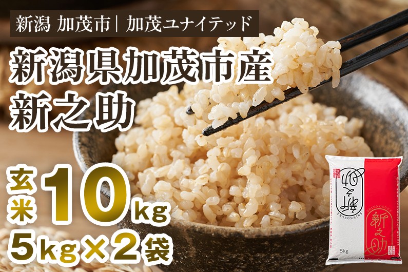 
                  【寄附額見直し】【令和7年産】新潟県産 新之助 玄米10kg（5kg×2袋）《順次出荷》 新潟 ブランド米 加茂市 加茂ユナイテッド
                