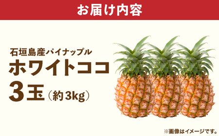 ≪6月上旬順次発送≫ 石垣島産パイナップル　ホワイトココ　3玉（約3kg）TP-13