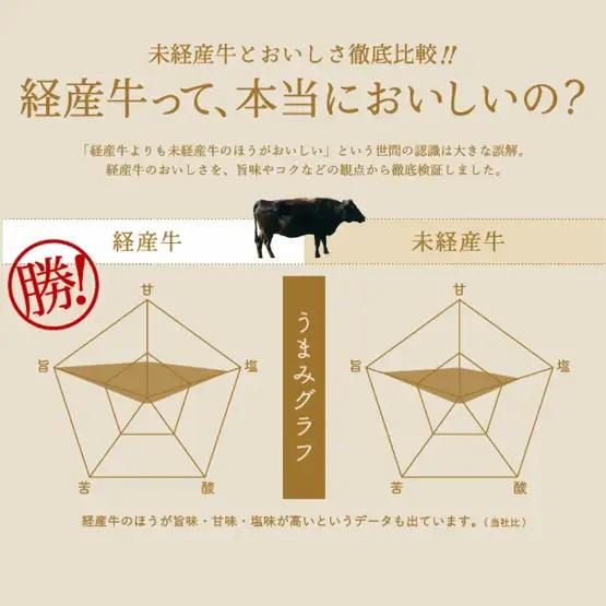 但馬牛経産牛「サーロインステーキ」200ｇ×3枚　020AA02N.／黒毛和牛 ステーキ肉 いちかわ精肉店 経産牛 牛肉 国産 bbq バーベキュー 焼肉 ステーキ サーロイン 赤身 肉 冷凍 焼き肉