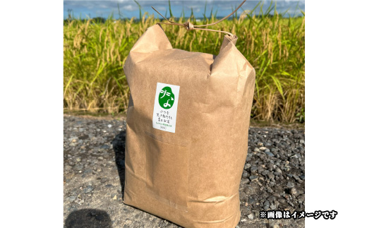 25-7GC101【玄米】新潟県長岡産コシヒカリ10kg【「小さな生き物たちと育むお米」認証品】