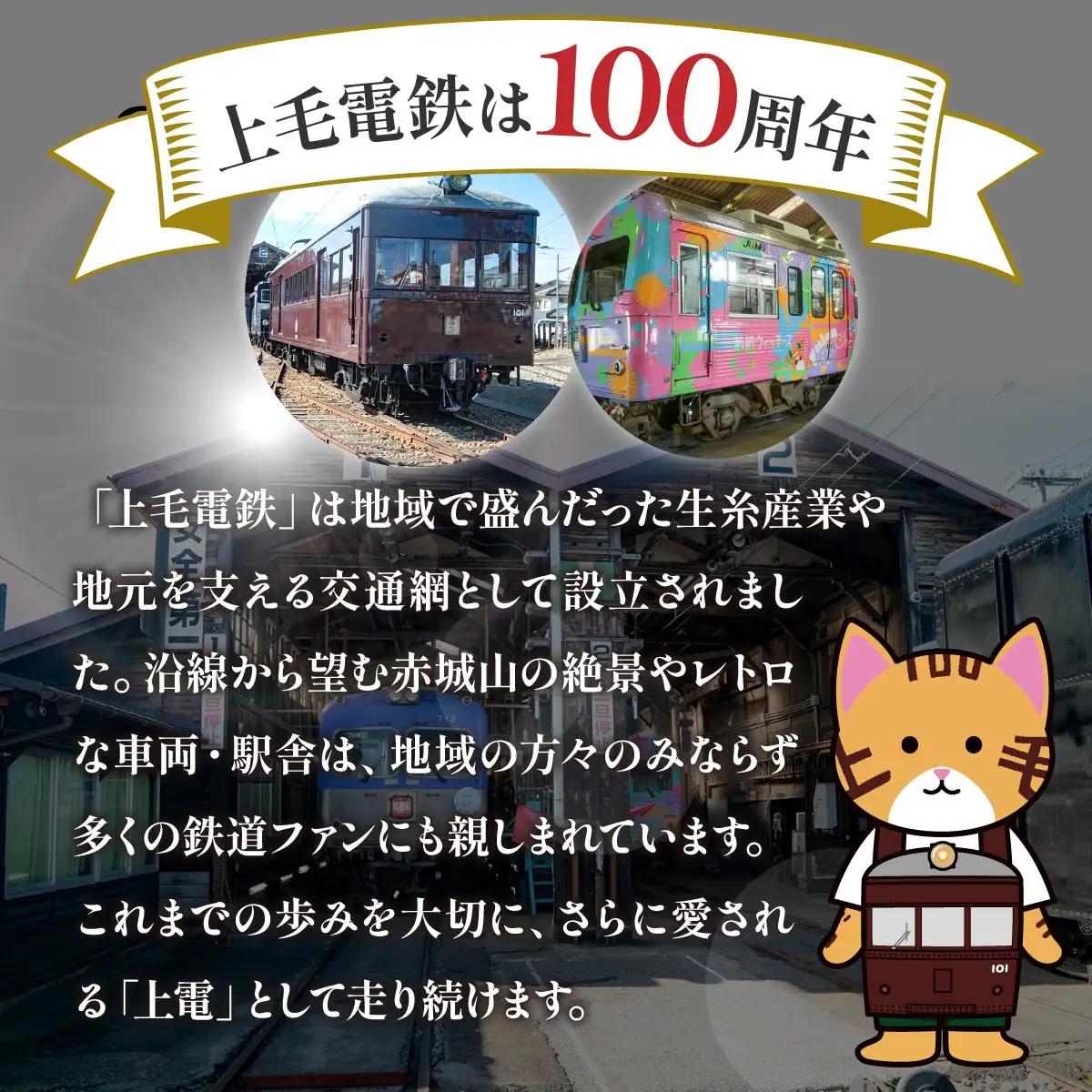 電車 上毛電鉄の特別な電車「デハ１０１」の貸切り