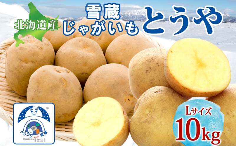 雪蔵じゃがいも 10kg とうやＬサイズ 2026年3月上旬～3月末までお届け ジャガイモ 芋 甘い なめらか しっとり ポタージュ カレー 調理 料理 煮込み料理 雪蔵 旬 季節 農作物 野菜 根菜 北海道 洞爺湖町