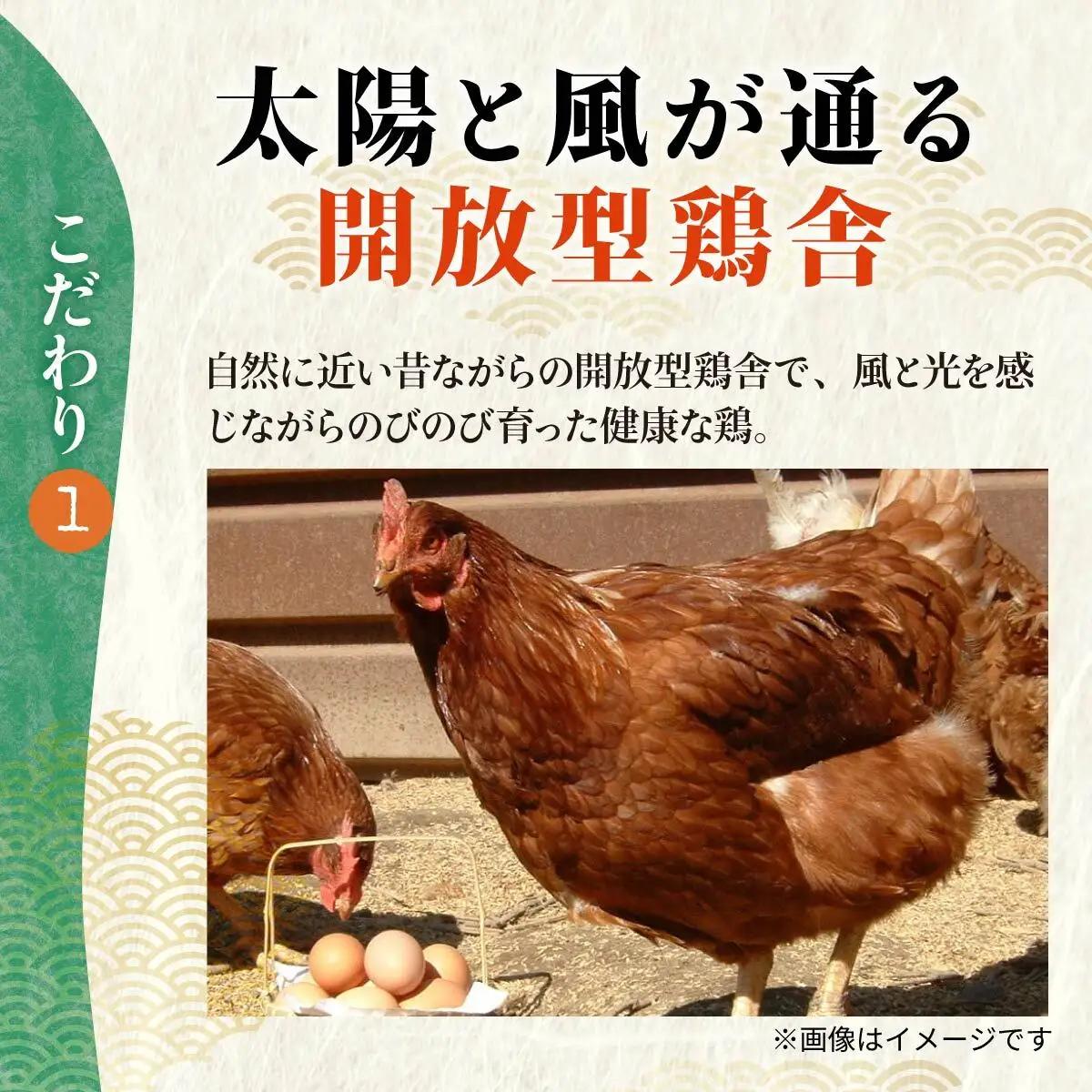 卵 純国産鶏 朝どり 厳選卵 30個 割れ保証付き 6ヶ月定期便