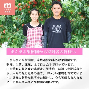 桃（川中島）３ｋｇ　ご家庭用　0055-2604