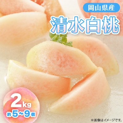 【2026年先行予約】2026年7月下旬頃より発送予定・岡山の白桃・清水白桃(2kg箱)【配送不可地域：離島】