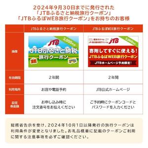 【廿日市市】JTBふるさと旅行クーポン（300,000円分）有効期間3年（Eメール発行）｜予約 宿泊 観光 体験  温泉 ホテル 旅館 チケット 子供 子連れ カップル 家族 店頭 オンライン ネット