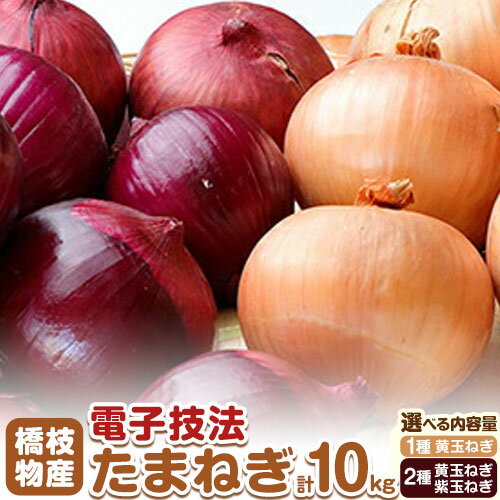 【ふるさと納税】十勝 電子技法栽培たまねぎ 約10kg 選べる 黄玉ねぎ 紫玉ねぎ 野菜 《2025年10月上旬から順次出荷》橋枝物産 北海道 浦幌町