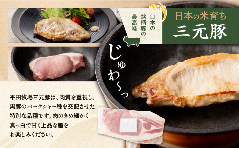 【全6回 毎月定期便】日本の米育ち平田牧場 三元豚ロースステーキ 6枚　T036-T03-02