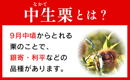 【先行予約】＜中生栗 約1kg（2Lまたは3Lサイズ）愛媛県西予市産＞ クリ くり 果物 フルーツ マロン モンブラン 栗ご飯 栗きんとん 栗の甘露煮 特産品 国産 秋の味覚 食べて応援 宇都宮物産 