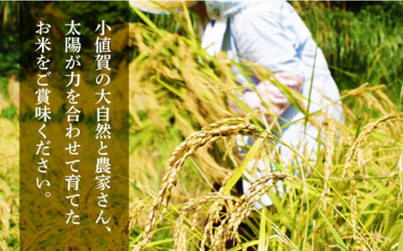 【全2回定期便】【令和6年度産】おぢかんうまか米（小値賀町産こしひかり 約3kg ・精白米）総計6kg  [DAB037] コシヒカリ こしひかり 米 お米 白米 ご飯 精米 お弁当  常温 [DAB