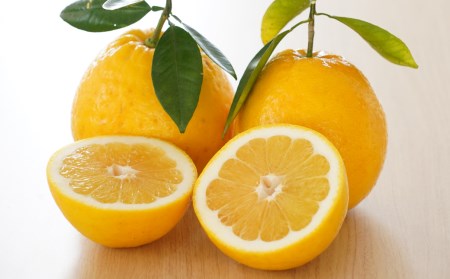 数量限定 先行予約 贈答用 河内晩柑 8kg （ 2L サイズ ） みかん 蜜柑 かわちばんかん 愛南ゴールド 果物 フルーツ 柑橘 ゼリー ジュース ギフト 贈答 プレゼント 贈り物 ビタミン 健康