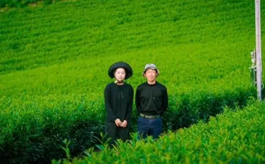 八女茶 Rooji＋ 煎茶ティーバッグ × 3個 お茶 煎茶 緑茶 ティーバッグ 国産 福岡県産