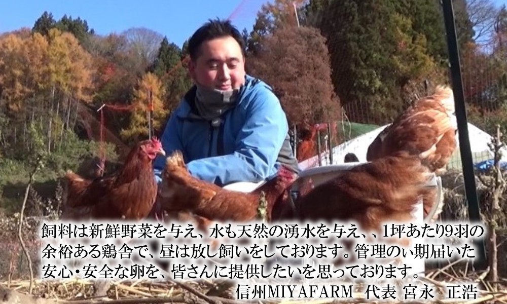 信州小川村　有機飼料を食べて育った、栄養たっぷりの朝採れ卵を当日出荷