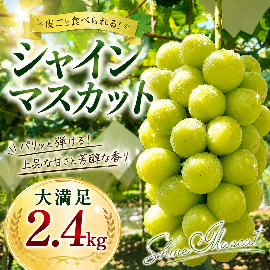 【ふるさと納税】 【2026年発送★先行予約】 見晴し園　農家直送！大満足シャインマスカット2.4kg！いっぺんよばれてみろし♡ ふるさと納税 シャインマスカット 大粒 笛吹市 国産 ぶどう ブドウ 葡萄 贈り物 ギフト プレゼント 旬 果物 フルーツ 山梨県 004-017-26y