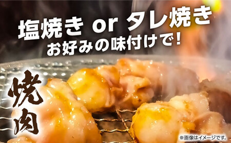 【全12回定期便】熊本県産 あか牛 白 ホルモン 合計6kg(250g×2P) 熊本ホルモン 赤牛ホルモン 褐牛 あかうし 褐毛和種 肥後 冷凍ホルモン 国産ホルモン 牛肉ホルモン 国産ホルモン 牛ホ