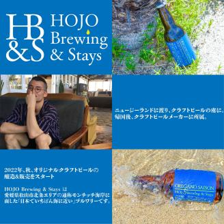 愛媛 松山 北条 クラフトビール おまかせ 4本セット 愛媛県 松山市 クラフトビール