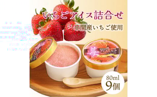 
AQ-A3 串間市産イチゴ使用！いちごアイス詰合せ(9個)【たまたまクラブ】【AQ-A3】
