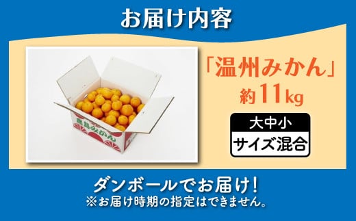 B-99  【先行予約】佐賀県鹿島産『温州みかん』約１１ｋｇ【11月中旬から順次発送】ふるさと納税 みかん ミカン 果物 フルーツ 果実 蜜柑 お取り寄せ ギフト 国産 佐賀県産 佐賀県 鹿島市 ふる