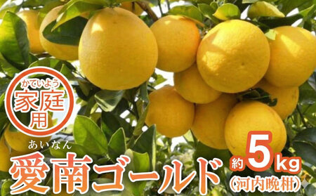 家庭用 愛南ゴールド（河内晩柑）約5kg みかん 蜜柑 河内晩柑 グレープフルーツ 柑橘 果物 フルーツ 前田ファーム 愛媛 愛南 【発送期間 3月下旬～5月上旬 】(なくなり次第終了)