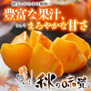 【先行予約】種無し柿 刀根早生柿 秀品大玉 約1.8kg（6個） 2026年9月末頃～10月末頃に順次発送予定（お届け日指定不可）/ 柿 かき 種無し 秀品 大玉 フルーツ 果物 くだもの【kiy00