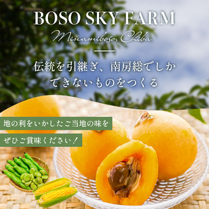 【先行受付 2025年6月上旬～7月中旬発送予定】数量限定！ヤングコーン(ベビーコーン）25本 mi0044-0002 とうもろこし 野菜 ｺｰﾝ 新鮮 数量限定