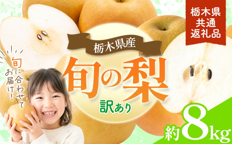 先行予約 訳あり 旬の梨 約8kg 幸水 豊水 あきづき 新高 にっこり《8月上旬-10月中旬頃出荷予定》 栃木県 野木町 なし ナシ くだもの 果物 青果物 フルーツ