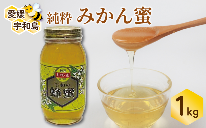 国産はちみつ みかん蜜 1kg ギフト箱入 元気や みかん 愛媛みかん 愛媛蜜柑 人気ハチミツ 国産純粋はちみつ 蜂蜜 はちみつ ハチミツ ハニー honey 非加熱 国産蜂蜜 純粋はちみつ 純粋蜂蜜 生はちみつ 天然はちみつ 産地直送 国産 愛媛 宇和島 F022-176003