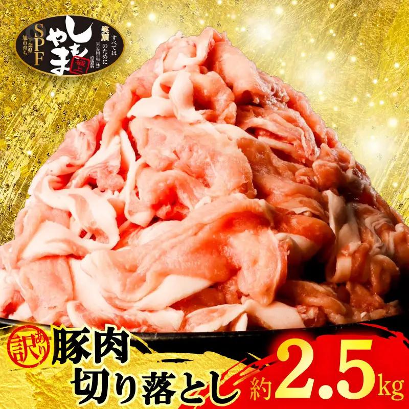 豚肉切り落とし 2.5kg 訳あり 豚肉切り落とし SPF
