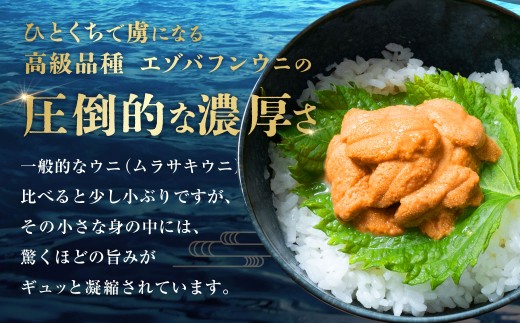 【特選】塩水ウニ 80g（エゾバフンウニ）【6月中旬(予定)～9月発送不可】 北海道 うに ウニ 雲丹 生ウニ 塩水ウニ ミョウバン不使用 海鮮丼 寿司 冷蔵 うに丼 ウニ丼 生鮮食品 おつまみ ご褒