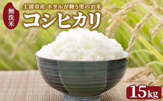 令和7年産 土浦市産 コシヒカリ 無洗米15kg（5kg×3） ホタルが舞う里のお米 ※離島への配送不可 ※2025年12月下旬～2026年2月下旬頃に順次発送予定