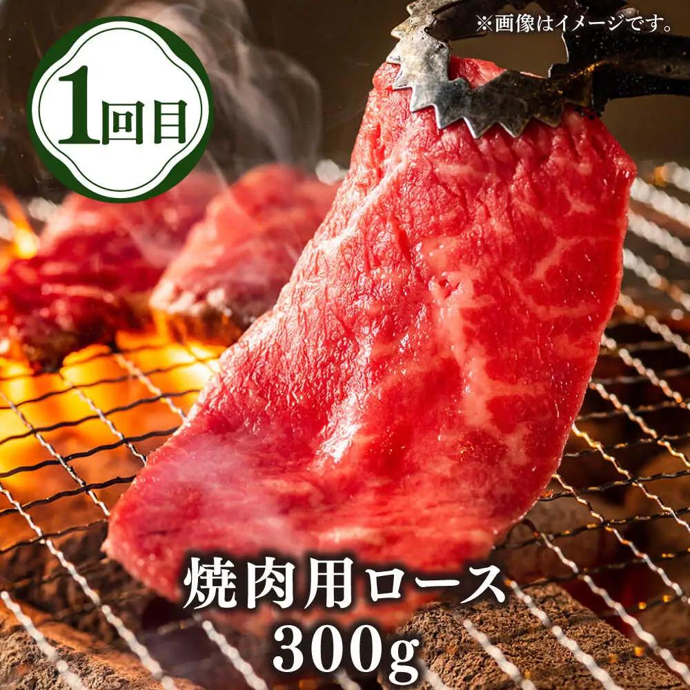 【全3回定期便】壱岐牛定期便（壱岐牛ステーキ、しゃぶすき、焼き肉セット）2人前《壱岐市》【壱岐市農業協同組合】壱岐牛 すき焼き ステーキ しゃぶしゃぶ 焼肉 [JBO165]
