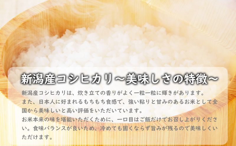 特別栽培米新潟産コシヒカリ5kg 米 お米 こめ コメ ごはん 新潟 白米 コシヒカリ ブランド米 銘柄米 お取り寄せ 産地直送
