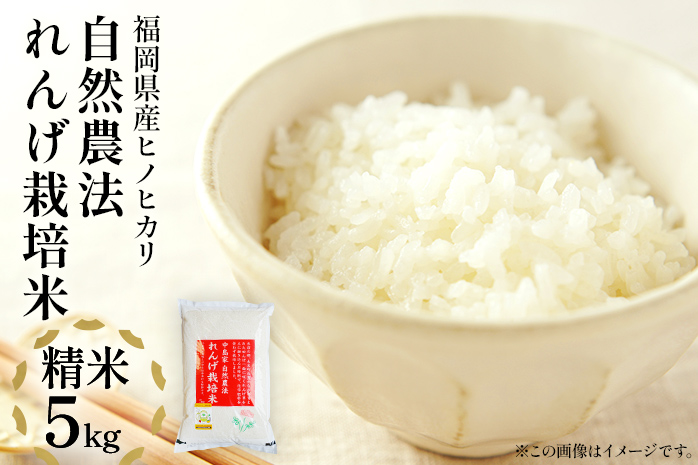 令和7年産 米 白米 ヒノヒカリ 精米 れんげ栽培米 自然農法れんげ栽培米「ヒノヒカリ」（精米・ 5kg）5kg れんげ草 れんげ栽培 有機肥料 有機栽培米 SDGs 環境 新米予約 国産 福岡県産 福岡県 大木町 中島農産 BI01