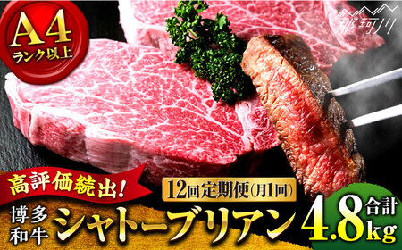 【全12回定期便】希少部位！ 博多和牛 牛肉 ヒレ シャトーブリアン 400g（200g×2）＜肉のくまもと屋＞那珂川市 ヒレ シャトーブリアン ヒレ肉 ステーキ ヒレステーキ 牛肉 肉 黒毛和牛 福