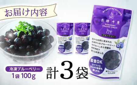 長崎冷果 ブルーベリー 3袋セット　/ 冷凍 冷凍フルーツ ブルーベリー ベリー / 諫早市 / エスジーエス株式会社[AHEQ004]