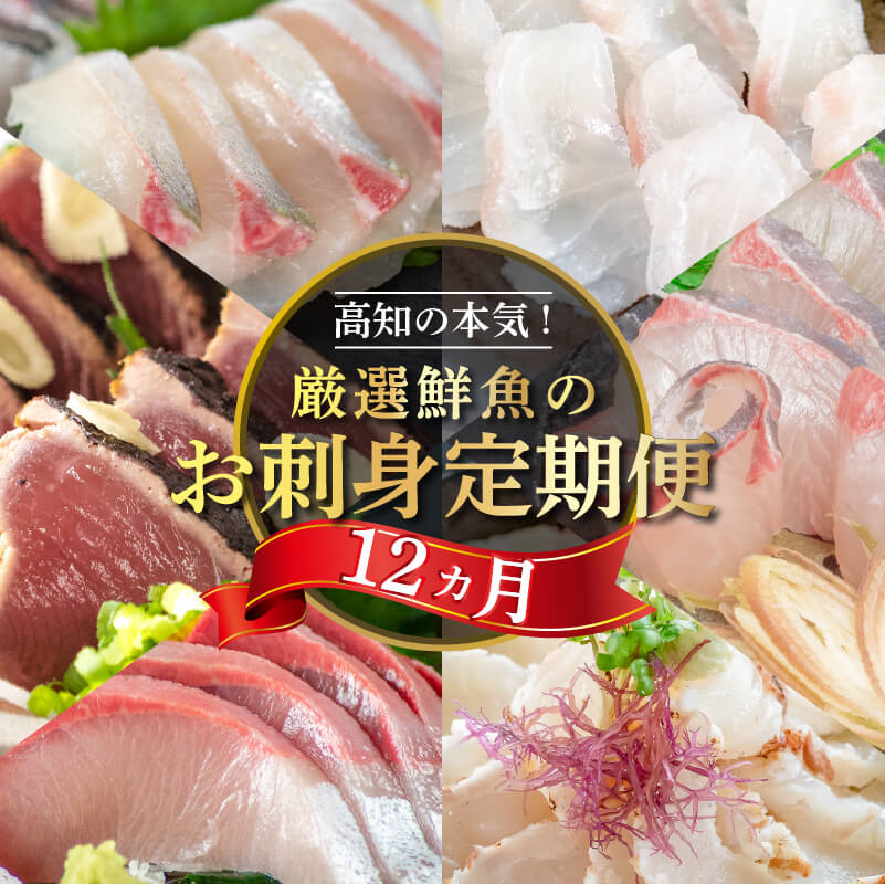 鮮魚お刺身定期便 1年 12回コース【小島水産】
